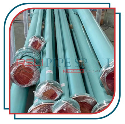 Epoxy coating pipe spool with weld neck flange